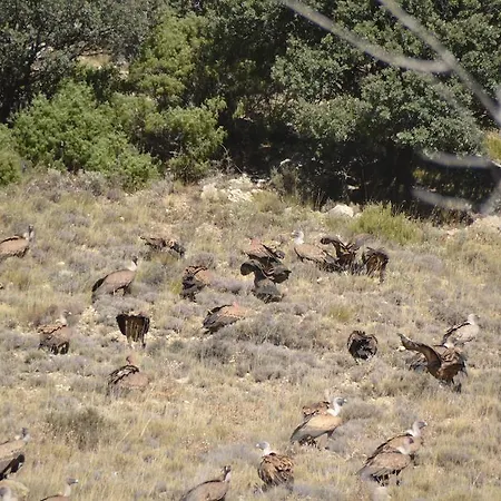 Hotel Rural El Horno De